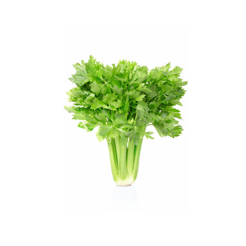 Celery UAE, 450 g - 500 G (Approx. 4-5 Sticks)