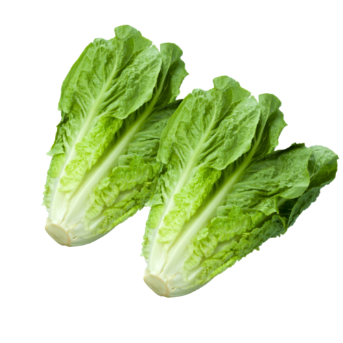 Long Lettuce UAE, 250 g - 350 g (1 Pc)