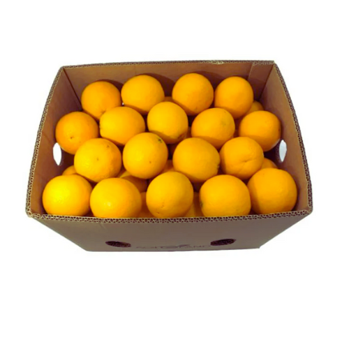 Orange Juice Egypt, 1 Box (15 kg)