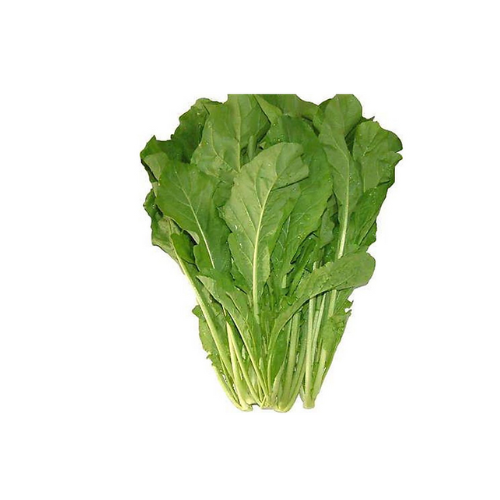 Rocket (Arugula / Girjeer) Oman, 1 Bunch (Approx. 120g - 130g)