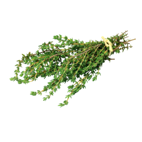Thyme Holland, 1 Bunch (Approx. 50 g - 60 g)
