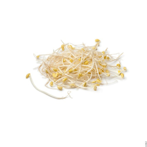 Beans Sprout Togi UAE, 250 g