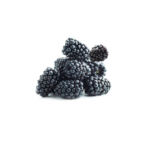 Black Berry USA, Pack of 125 g
