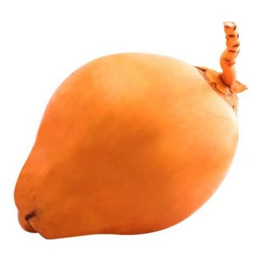 Tender Coconut Srilanka, Pack of 6 Pcs ( Keep In Fridge Or Use In 3 Days)