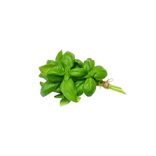 Basil Leaf Local UAE, 1 Bunch (Approx, 90 g - 100 g)