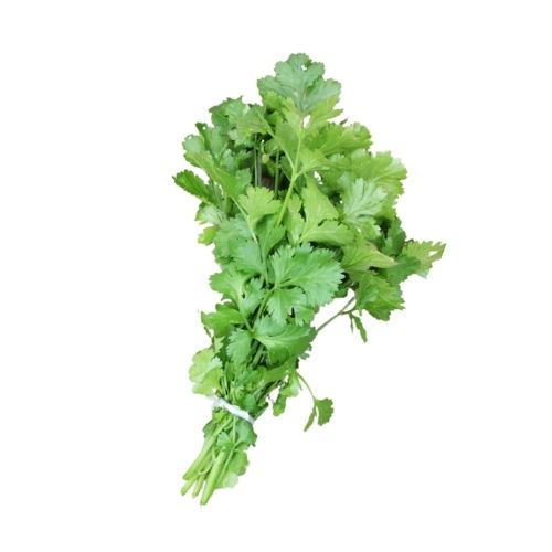 Coriander Daniya UAE, 1 Bunch