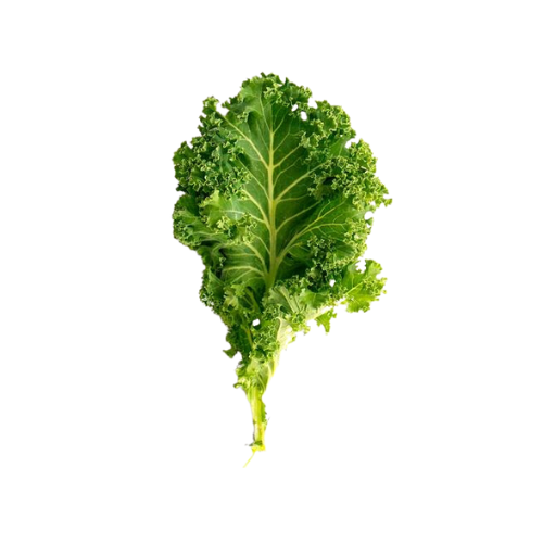 Kale (Leaf Cabbage) Leaf Thailand, Pack of 250 g