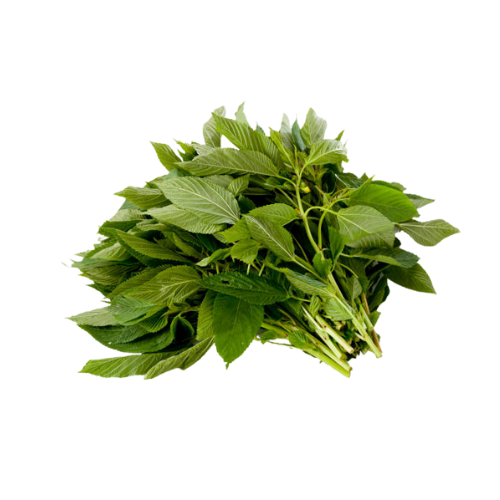 Mulookiya Salooyath UAE, 1 Bunch (Approx., 100 g - 120 g)