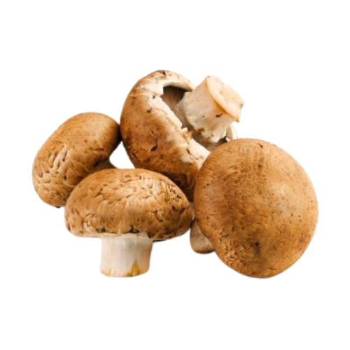 Brown Mushroom Oman, 250 g (1 Pkt)