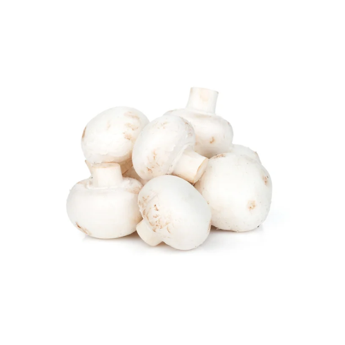 Mushroom White / Button Oman, 1 Box of 250 g
