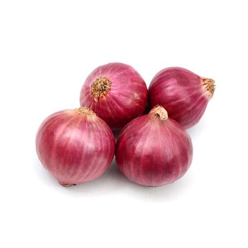 Onion India