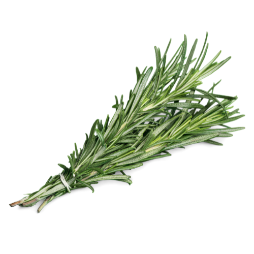 Rosemary Holland, 1 Pack (Approx. 35 g - 40 g)