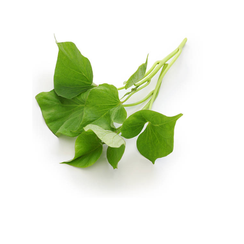 Sweet Potato (Talbus Na Kamoti) Leaf UAE, 1 Bunch