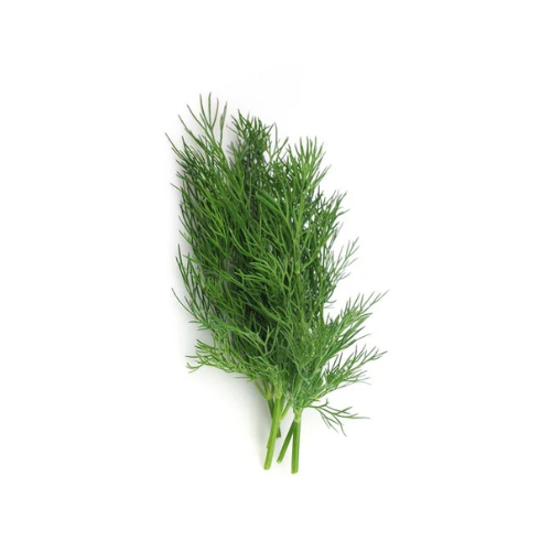 Soya (Dill) UAE, 1 Bunch (Approx. 80 G - 100 g)