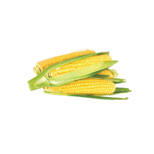 Sweet Corn UAE, 400 g - 500 g (Approx 1 - 2 Pcs)
