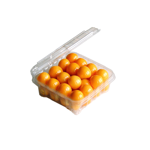 Physalis (Golden Berry) Thailand, Pack of 125 g